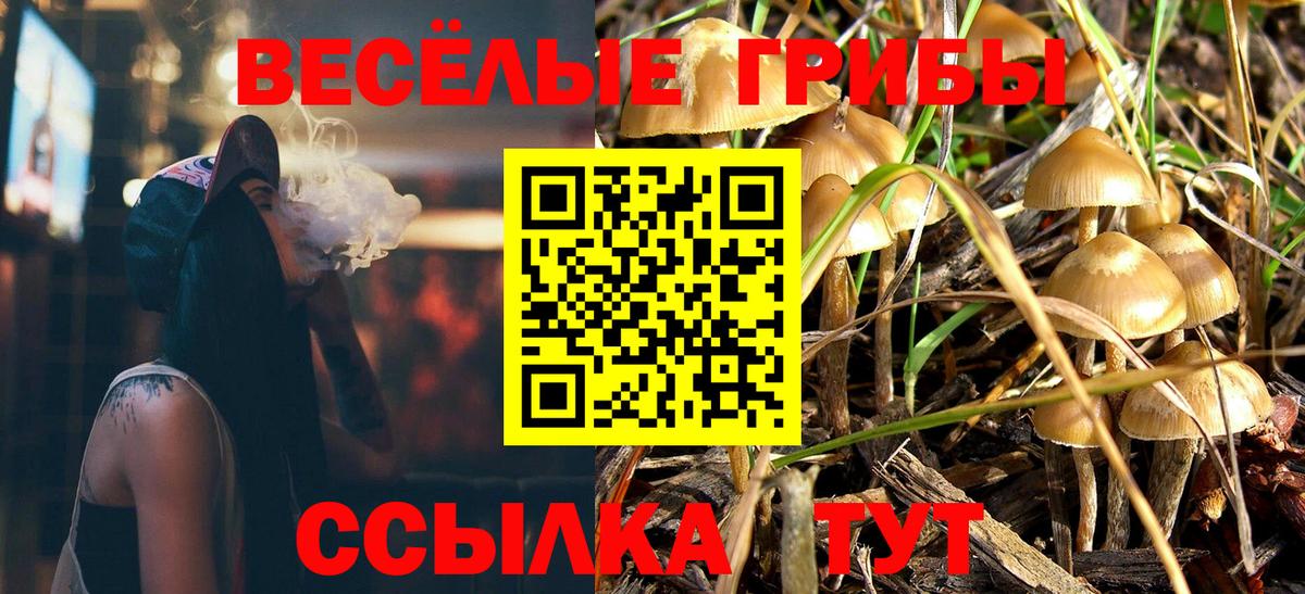 Псилоцибиновые грибы MAGIC MUSHROOMS  купить закладку  Вход с VPN  Кушва  Псилоцибиновые грибы мухоморы 